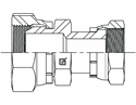 Picture of BSF-ORF