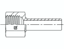 Picture of NTF-MSP