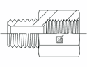Picture of NTM-BPF